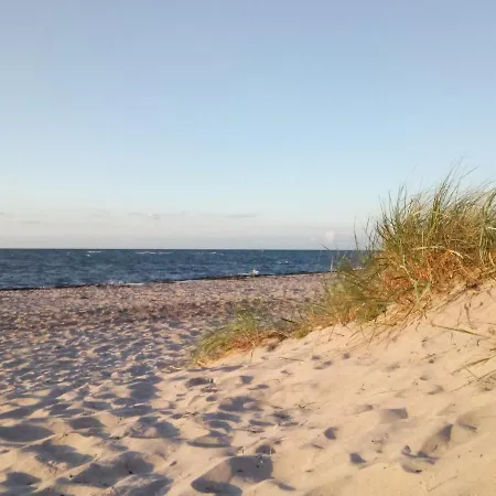 Cosy In By The Sea Holiday home