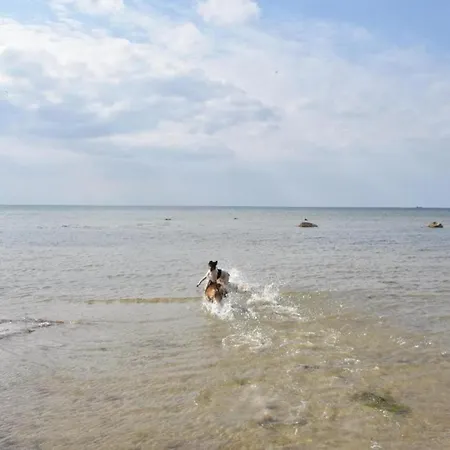 Gemuetlicher Am In * Pepelow