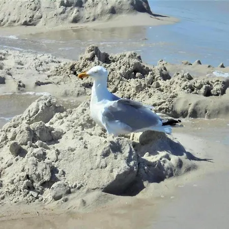 Casa vacanze Gemuetlicher Am In Pepelow